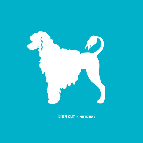 Portuguese Water Dog (Lion Cut) Ornament